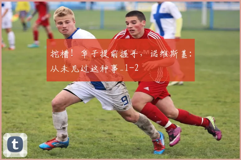 挖槽!华子提前握手,诺维斯基:从未见过这种事_1