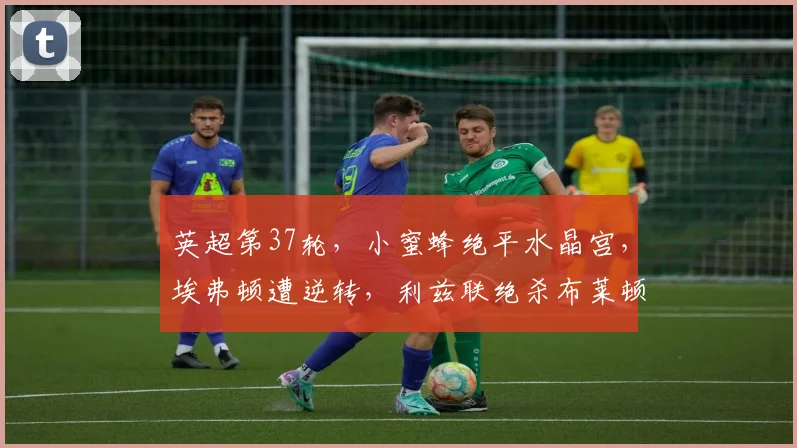 英超第37轮，小蜜蜂绝平水晶宫，埃弗顿遭逆转，利兹联绝杀布莱顿